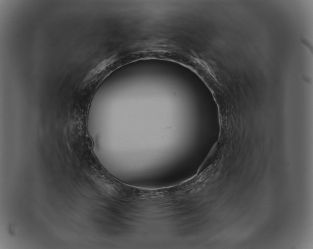 X0000091701159200709071342