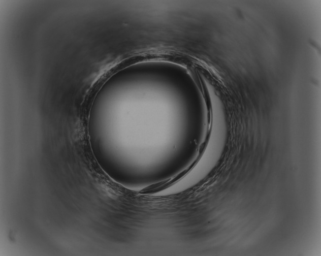 X0000091701160200709071342