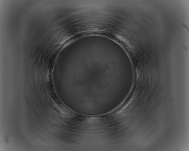 X0000091701161200709071342