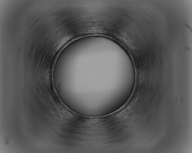 X0000091701162200709071342