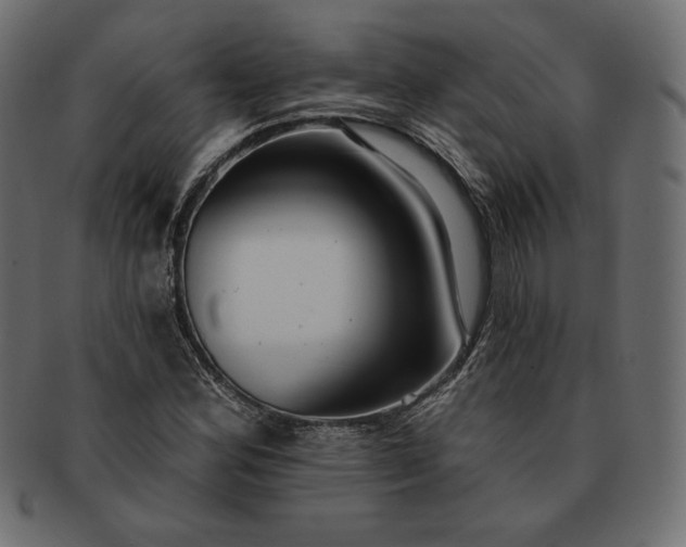 X0000091701164200709071342