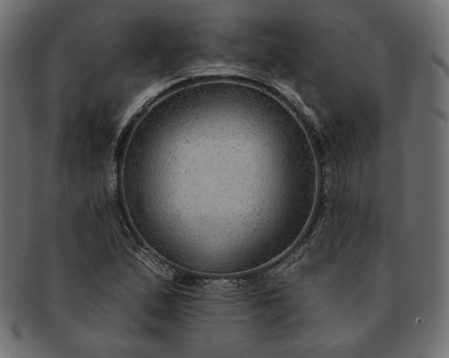 X0000091701167200709071342