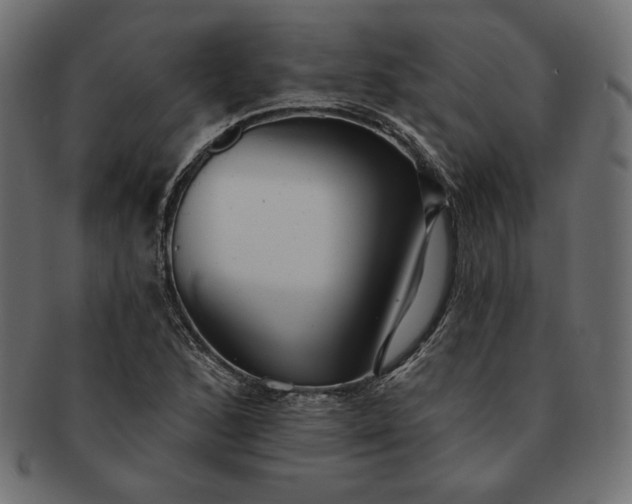 X0000091701168200709071342