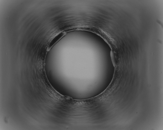 X0000091701169200709071342