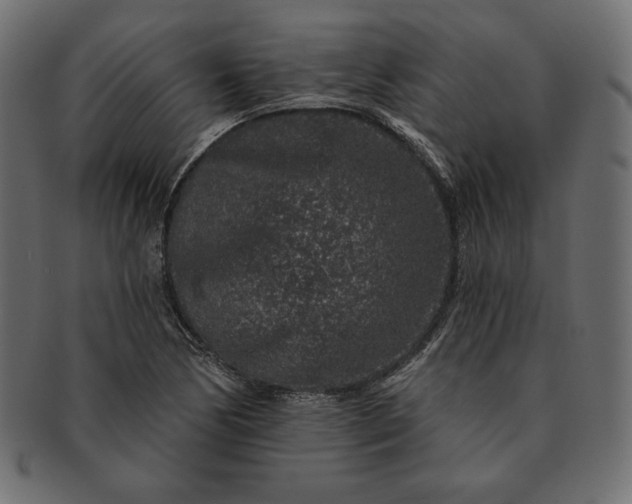 X0000091701170200709071342