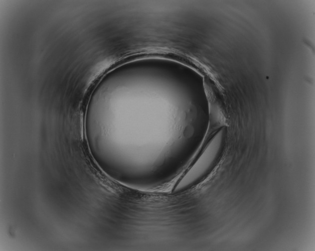 X0000091701171200709071342