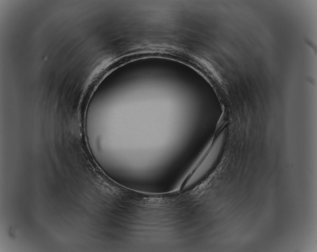 X0000091701172200709071342