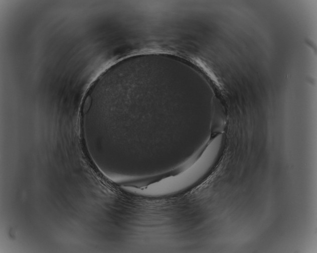 X0000091701173200709071342