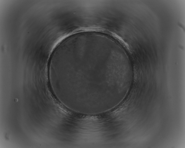 X0000091701174200709071342