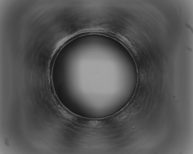 X0000091701176200709071342