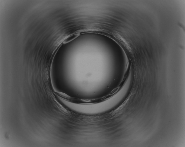 X0000091701177200709071342