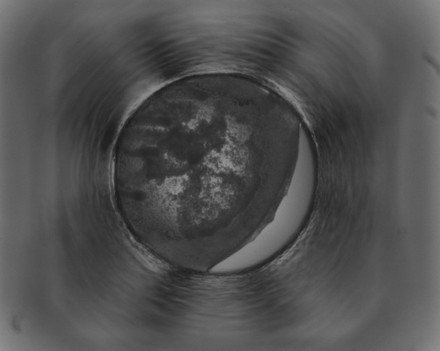 X0000091701179200709071342