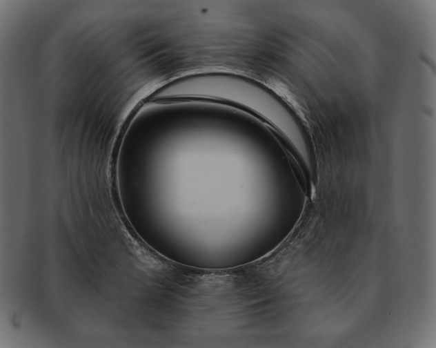 X0000091701181200709071342