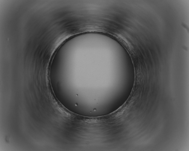 X0000091701182200709071342