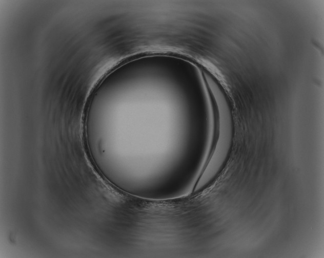 X0000091701183200709071342