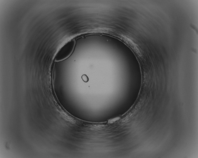 X0000091701184200709071342