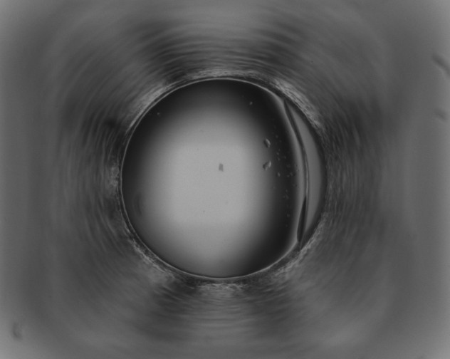 X0000091701185200709071342