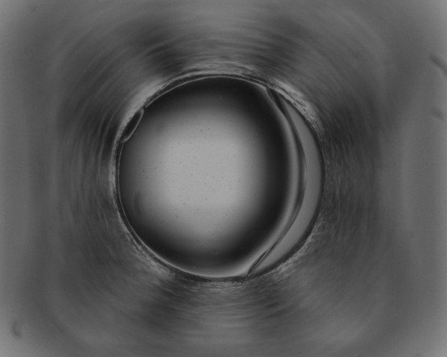 X0000091701188200709071342