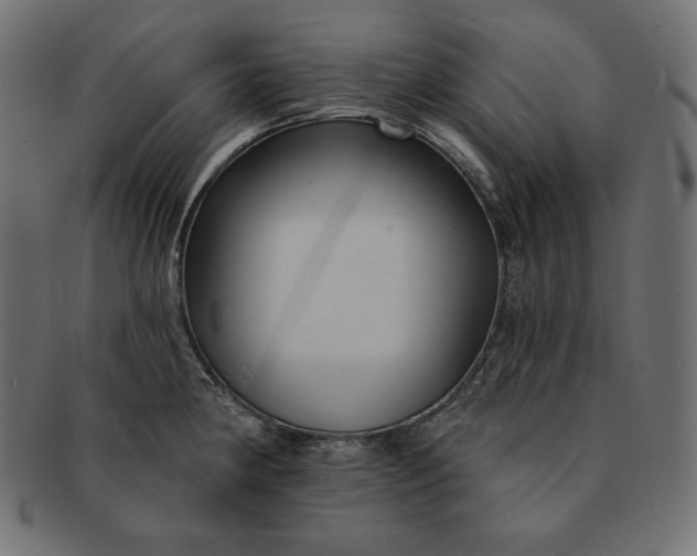 X0000091701190200709071342