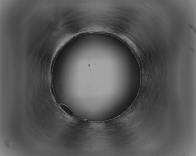 X0000091701191200709071342