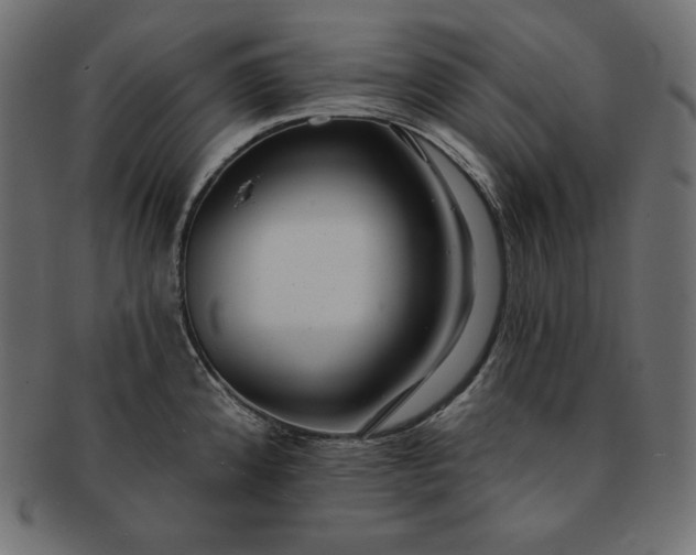 X0000091701192200709071341