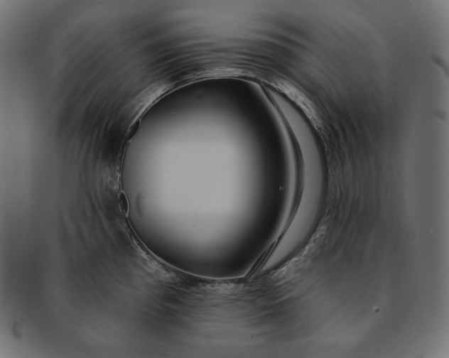 X0000091701193200709071341