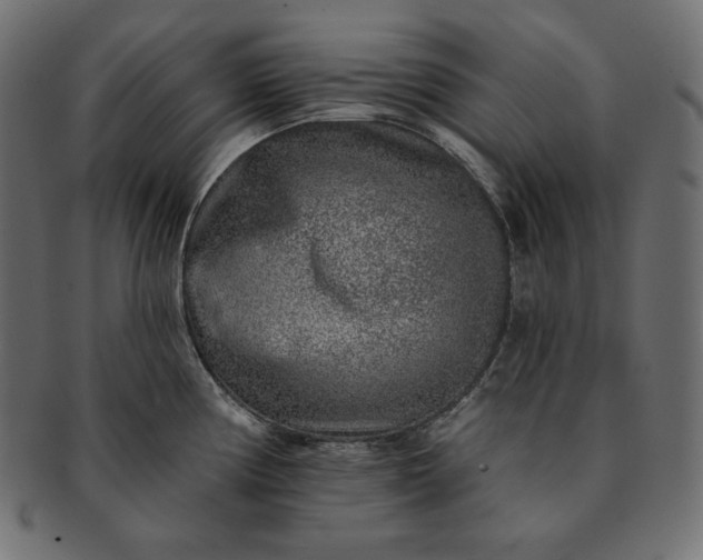 X0000091701194200709071341