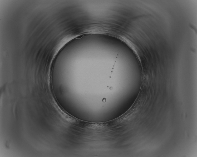 X0000091701195200709071341