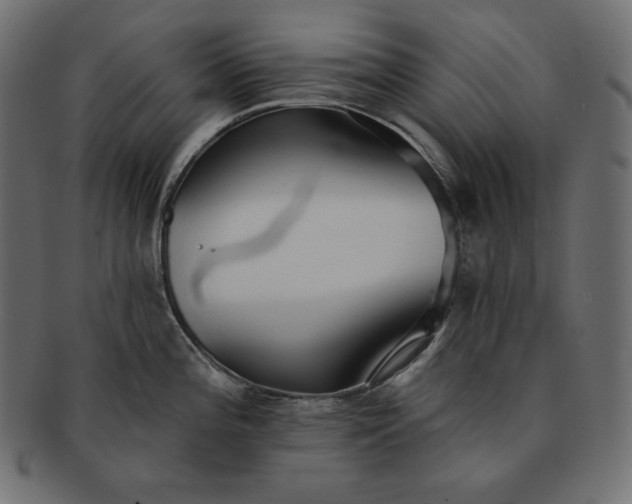 X0000091701196200709071341