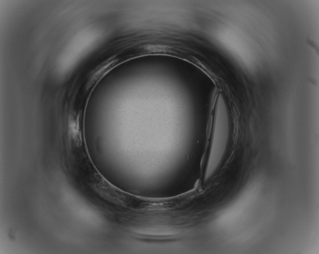 X0000091701198200709071341