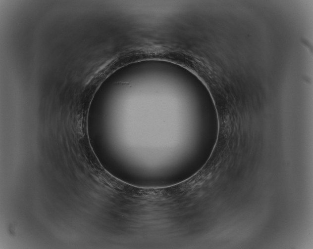 X0000091701205200709071341