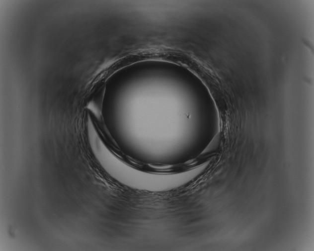 X0000091701206200709071341