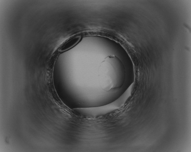 X0000091701208200709071341