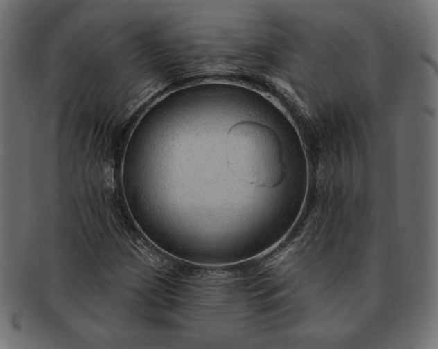 X0000091701209200709071341