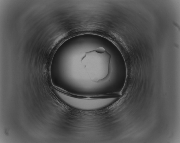 X0000091701210200709071341