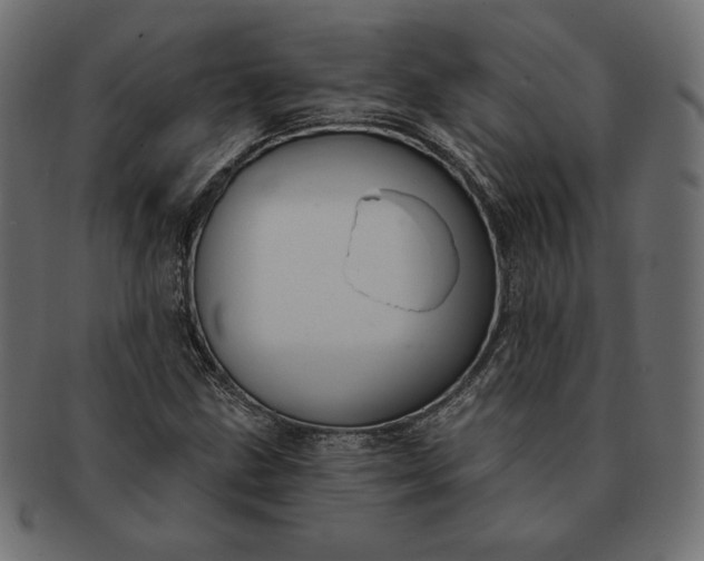 X0000091701211200709071341