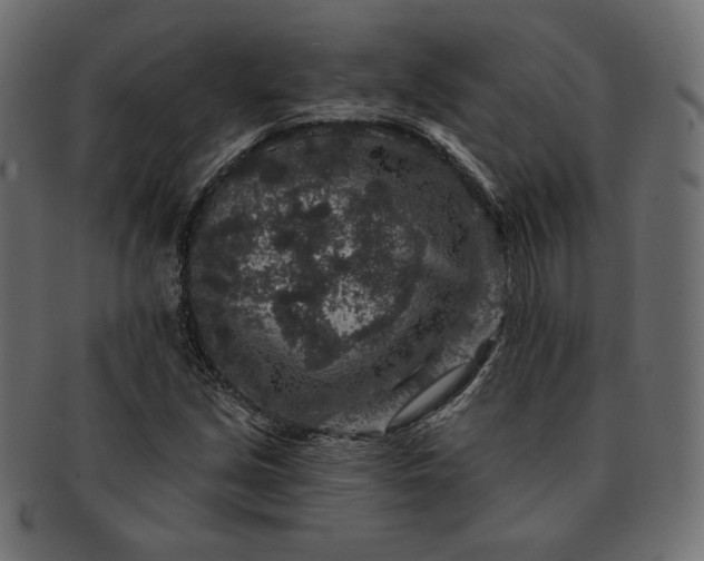 X0000091701213200709071341