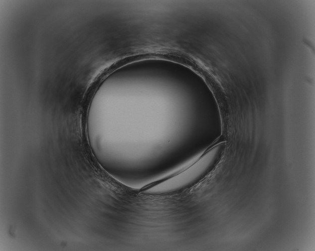 X0000091701214200709071341