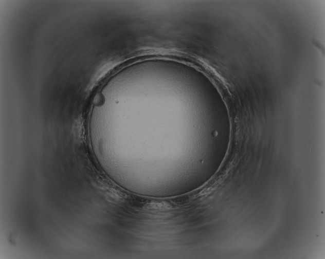 X0000091701215200709071341