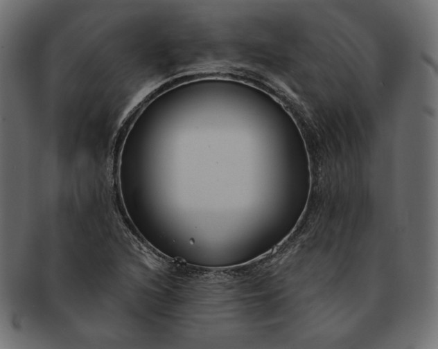 X0000091701216200709071341