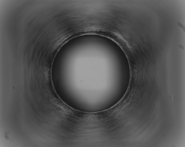 X0000091701217200709071341