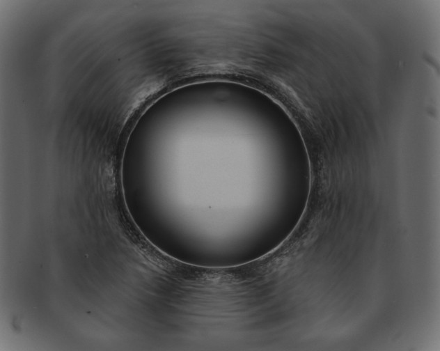 X0000091701218200709071341