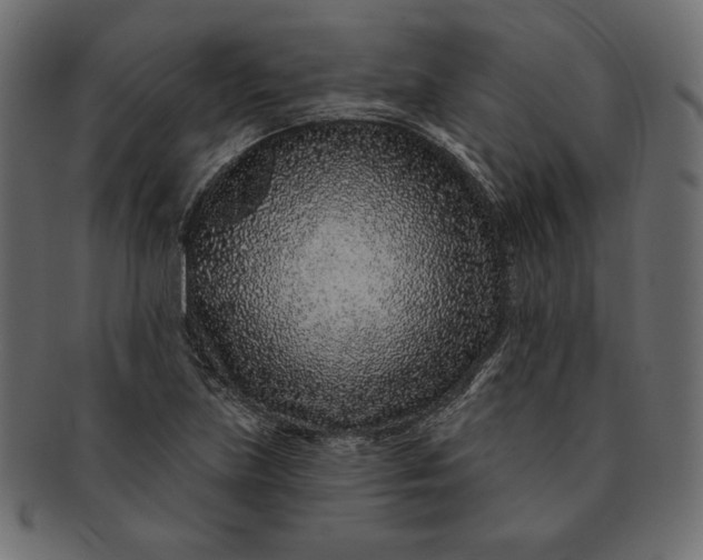 X0000091701219200709071341