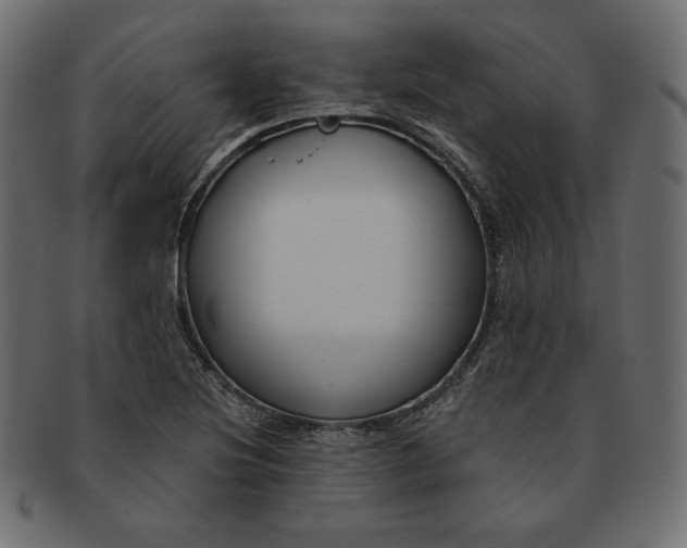 X0000091701220200709071341