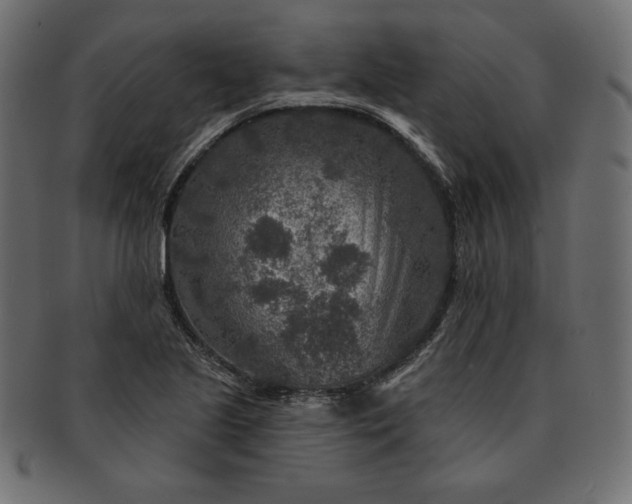 X0000091701221200709071341