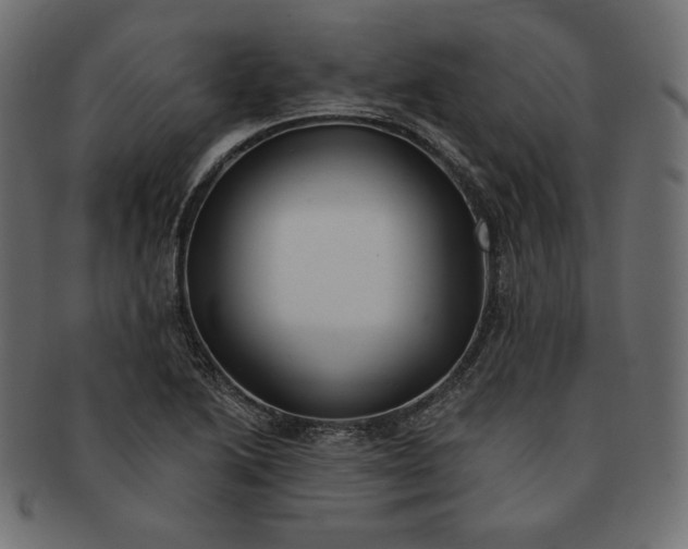 X0000091701222200709071341