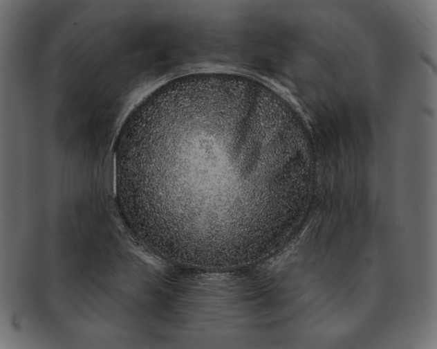 X0000091701223200709071341