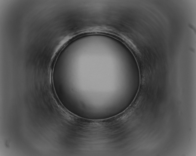 X0000091701224200709071341