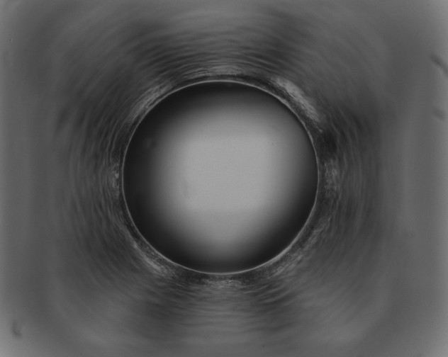 X0000091701225200709071341