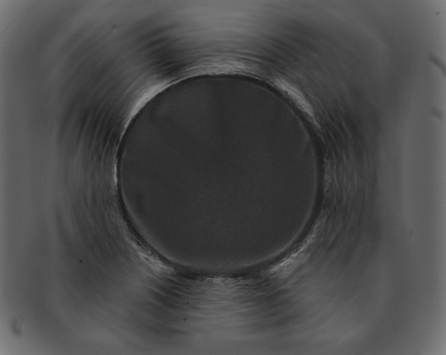 X0000091701226200709071341